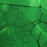 newsletter-bg